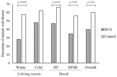 Specific and non-specific effects of Mycobacterium bovis BCG vaccination in dairy calves